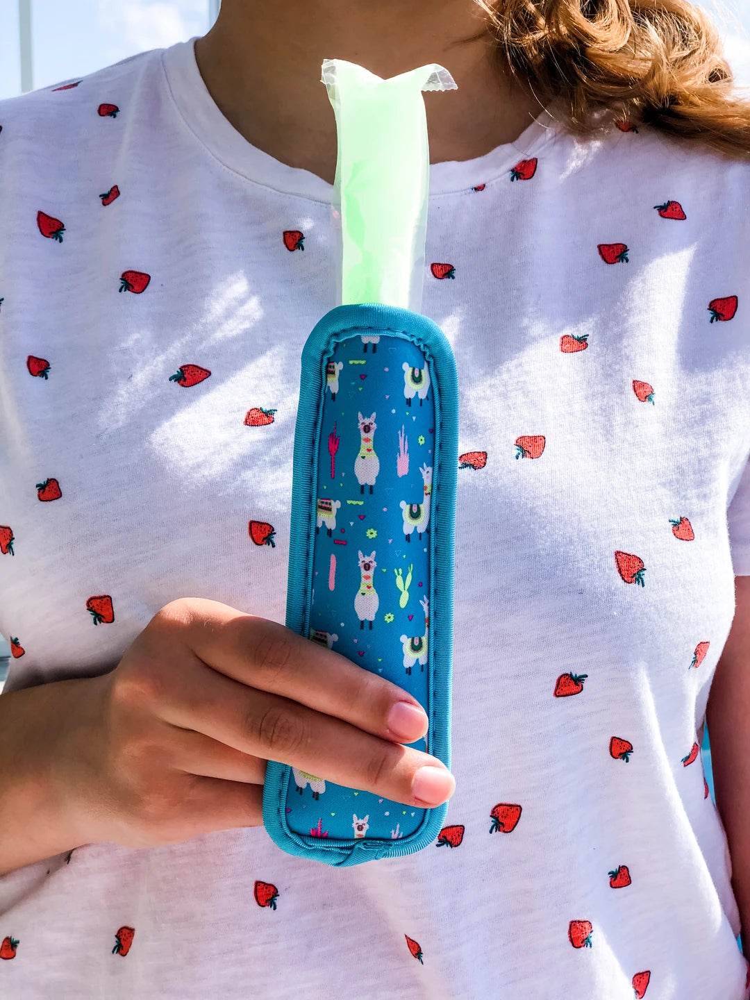 Popsicle Koozie - 5 prints available