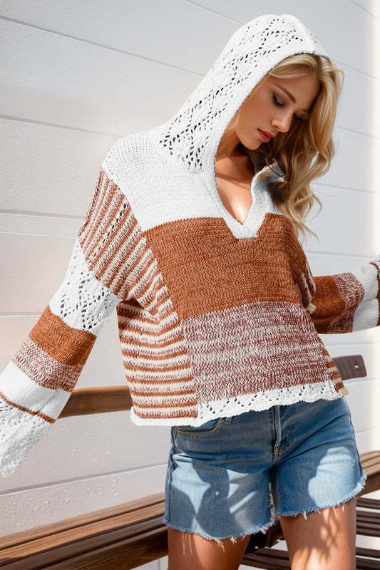 Colorblock Knit Hooded Sweater