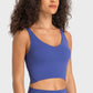 *APP EXCLUSIVE* Deep Vneck Crop Sports Bra