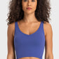 *APP EXCLUSIVE* Deep Vneck Crop Sports Bra