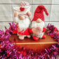 Stella & Roy Valentines Gnomes