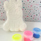 DIY Unicorn Bath Bomb Kit